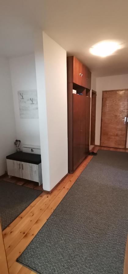 Fortress View Apartment Belogradcsik Kültér fotó